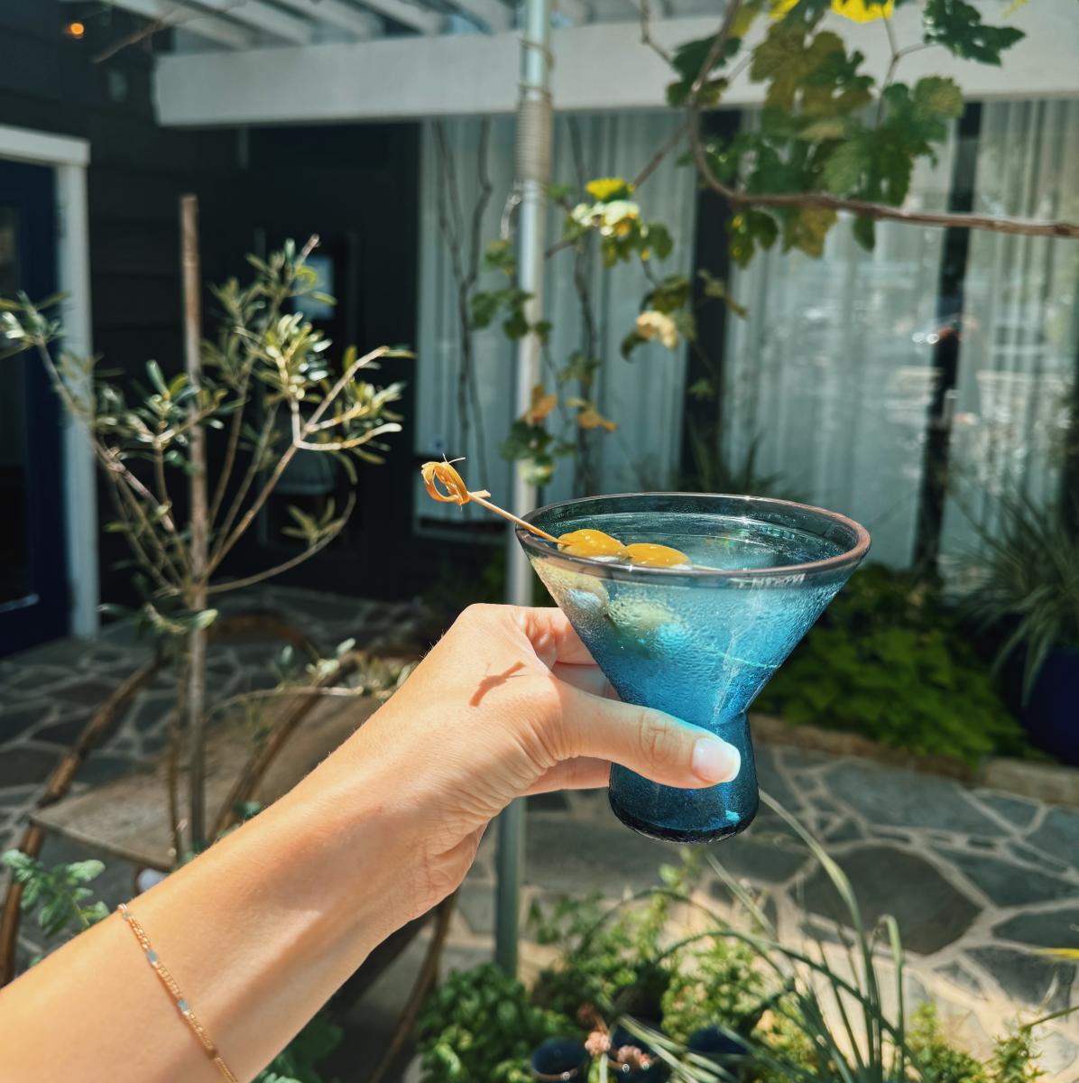 Greek Isles Grill & Taverna Kastra Elion Martini
