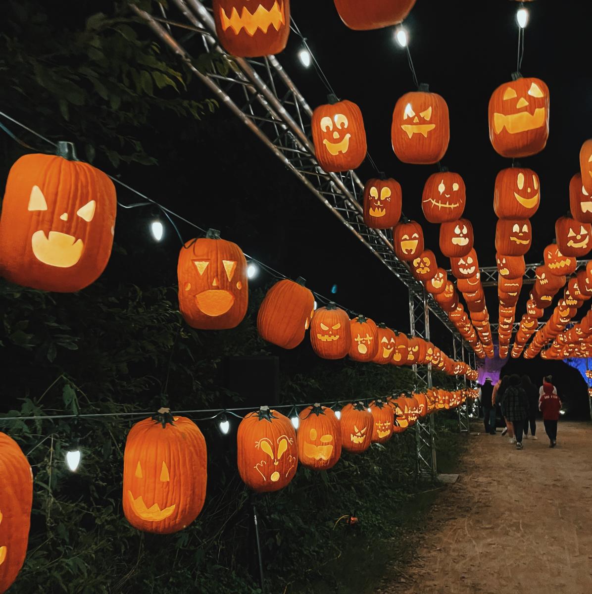 Pumpkin Nights Dallas