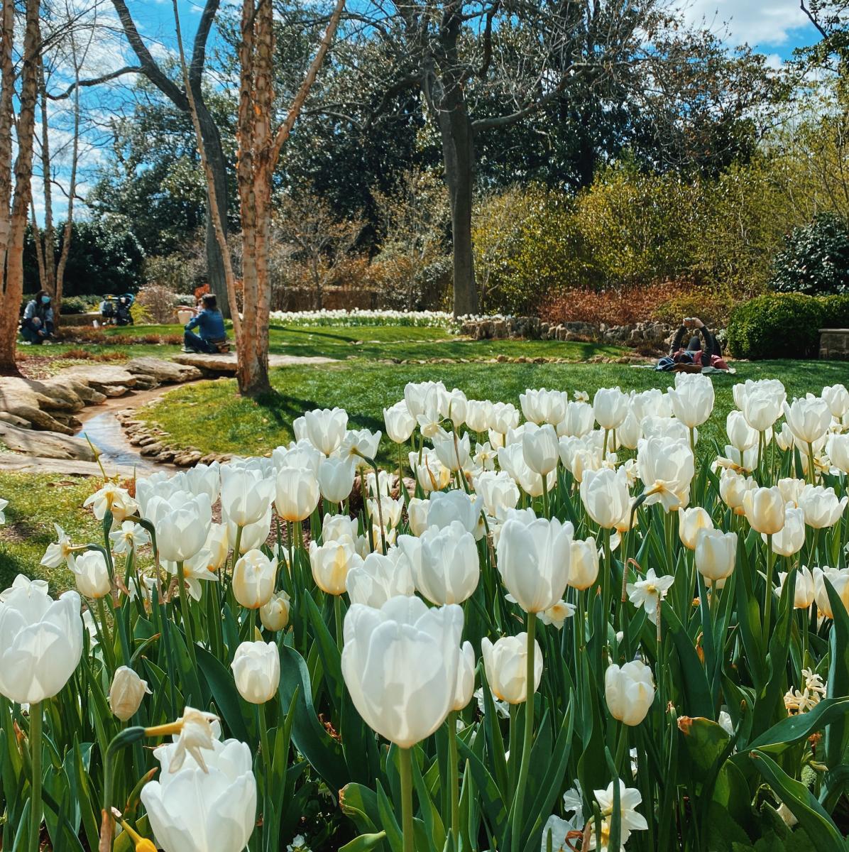 Dallas Arboretum