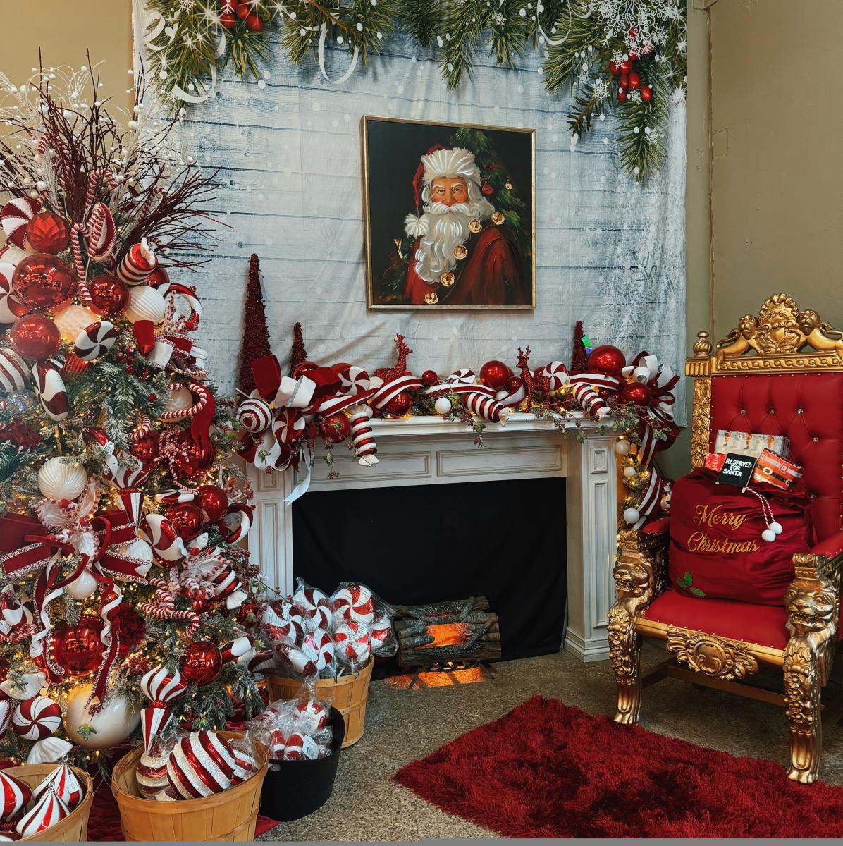 Plants and Planters by Secret Gardens