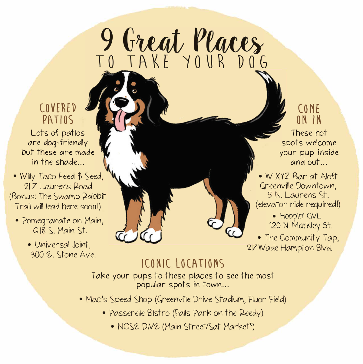 9 Great Places to Take Your Dog Graphic