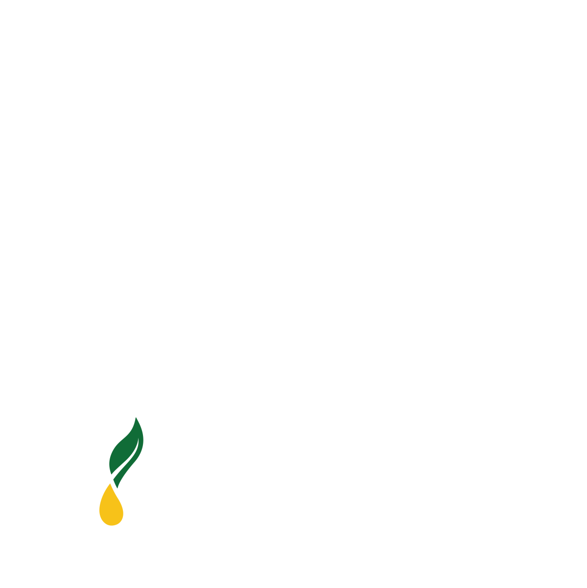 Young Living logo reading " New Heights 2025 Americas Convention"