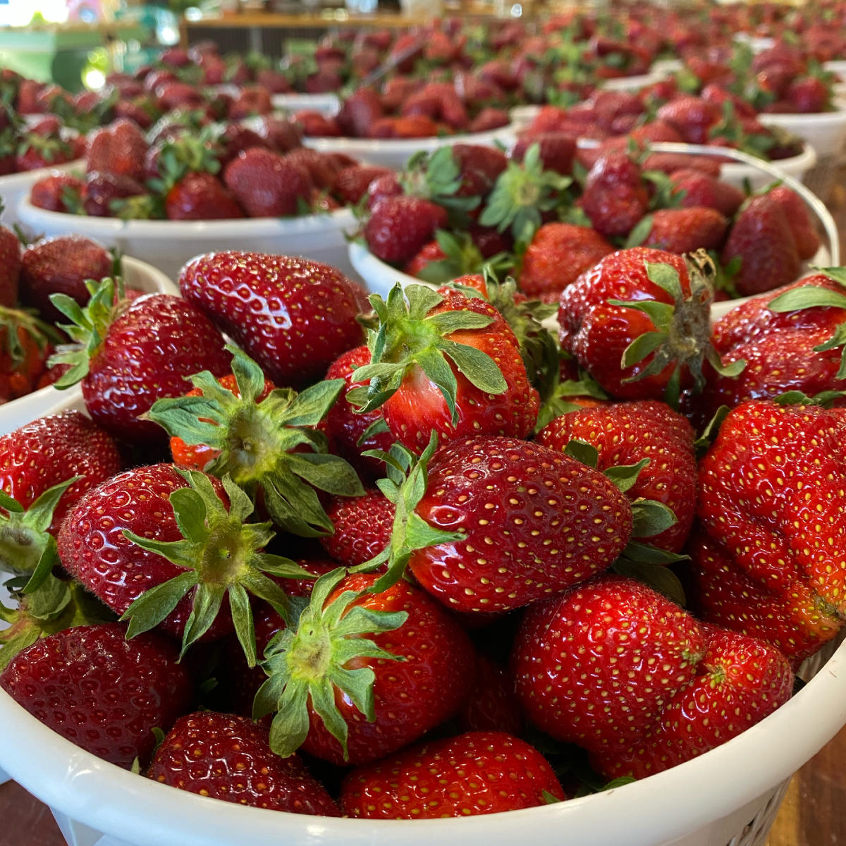 Strawberries at Market