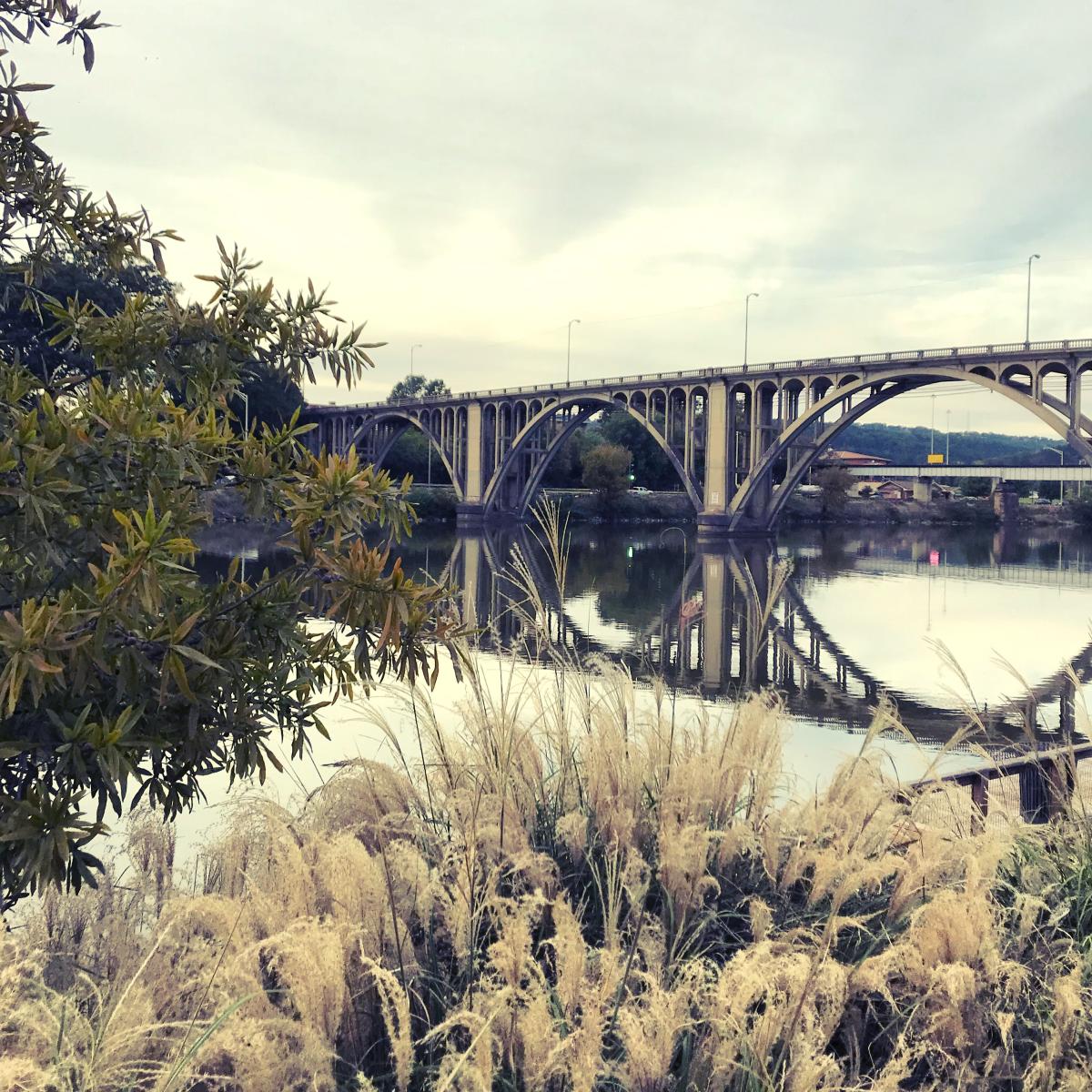 coosa river bridge gadsden