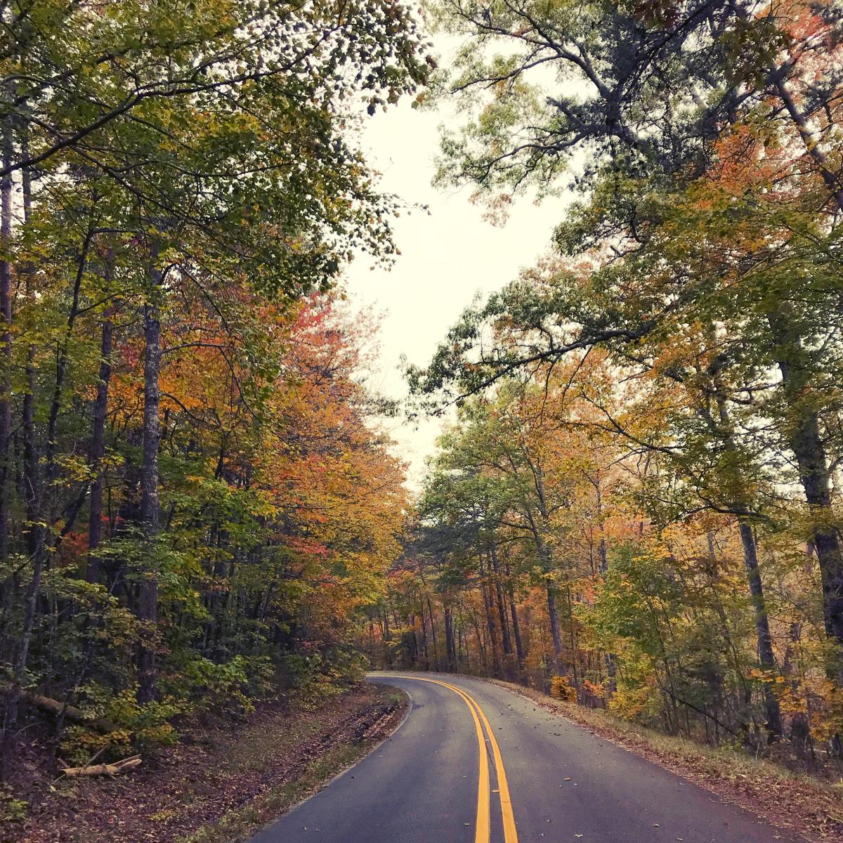 little river canyon road