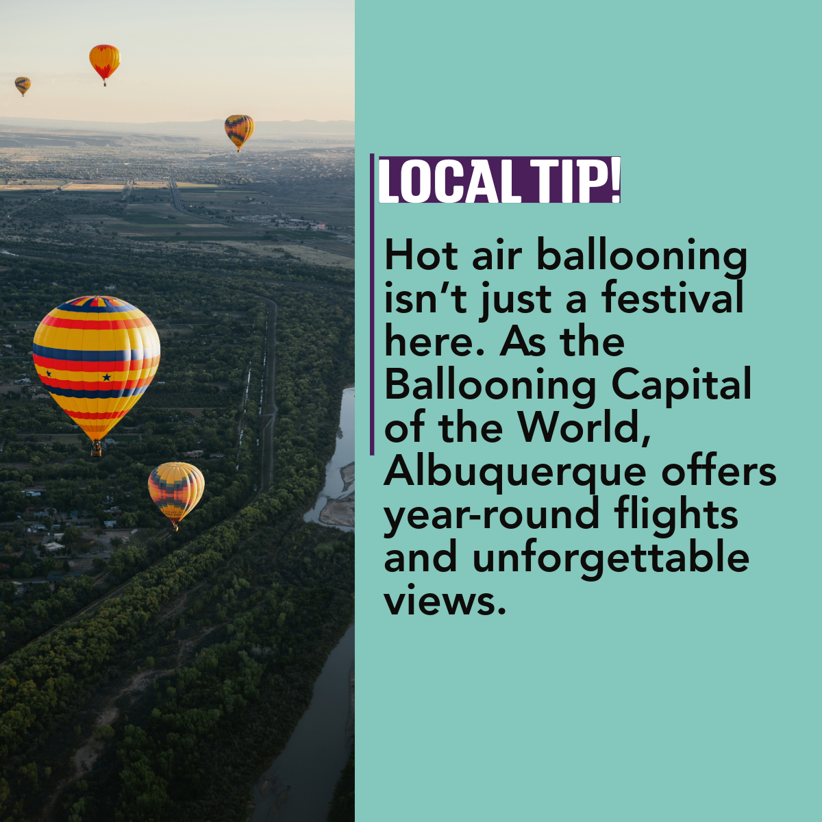 Text over a photo of hot air balloons, reading "Hot air ballooning isn’t just a festival here. As the Ballooning Capital of the World, Albuquerque offers year-round flights and unforgettable views."
