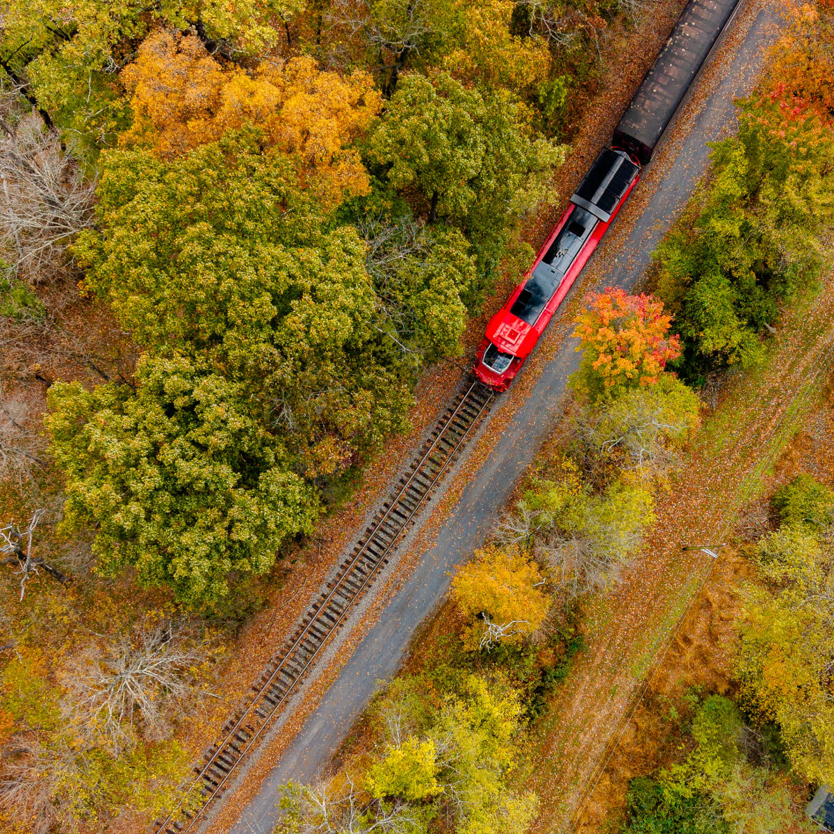An aerial shot of a bright red diesel train pulling cars along a track with fall colors.
