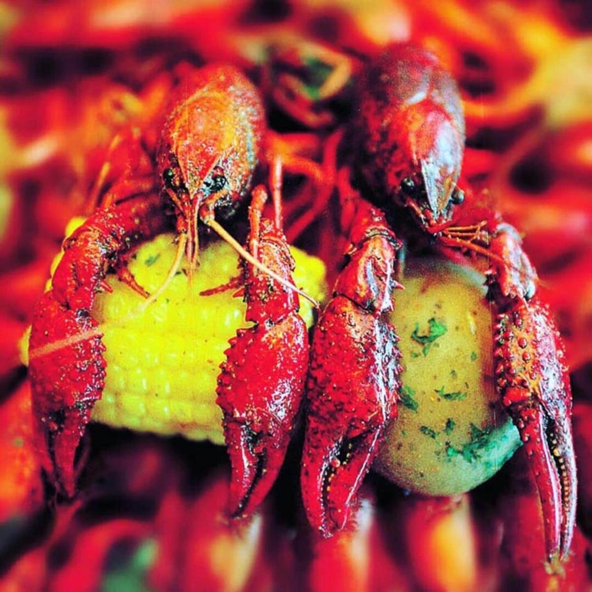 Crawfish from Crazy Cajun in Beaumont, TX