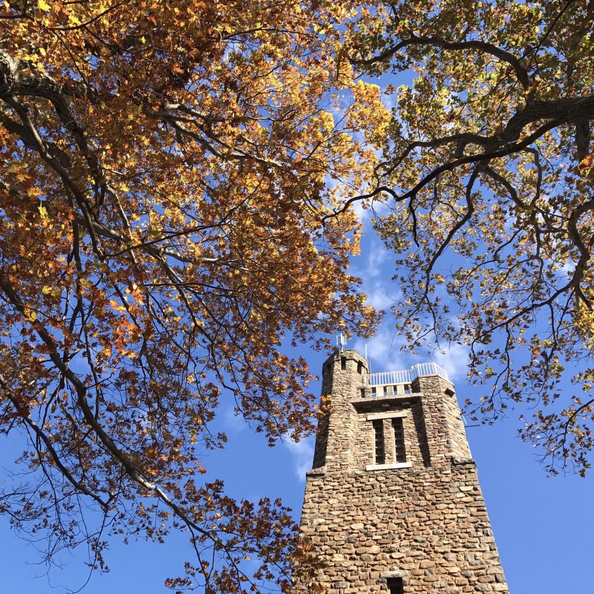 Fall at Bowman's Hill Tower