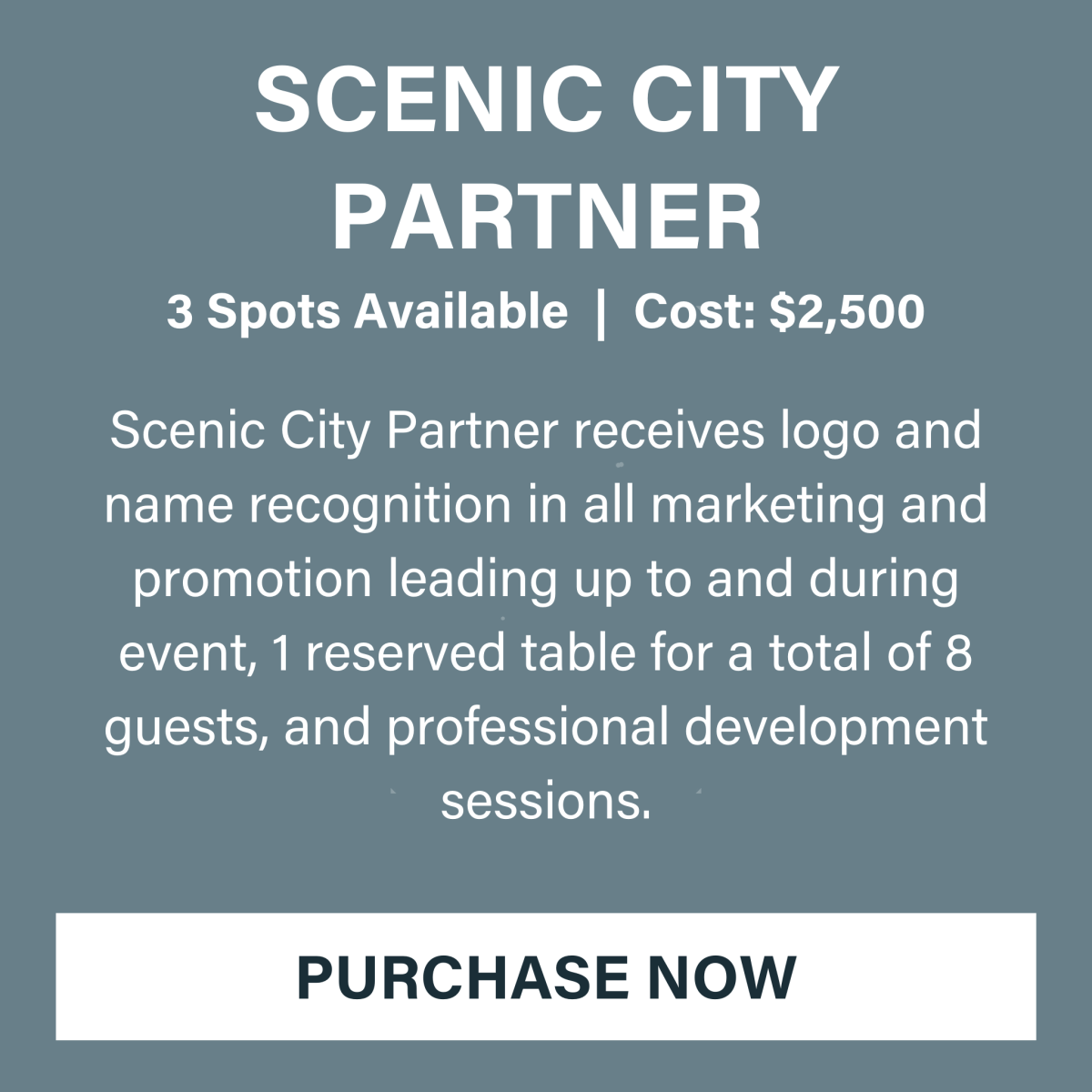 Summit Scenic City Partner 2022 Revised