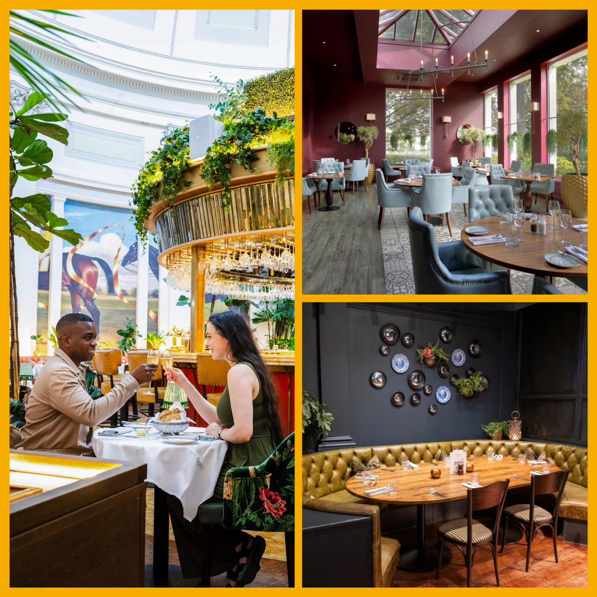 Collage of dining at The Ivy Montpellier Brasserie, Victoria's at Queens Hotel Cheltenham, Brasserie Blanc Cheltenham.