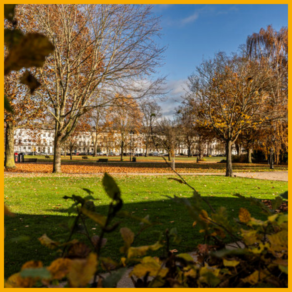 Autumn trees in Regency Cheltenham