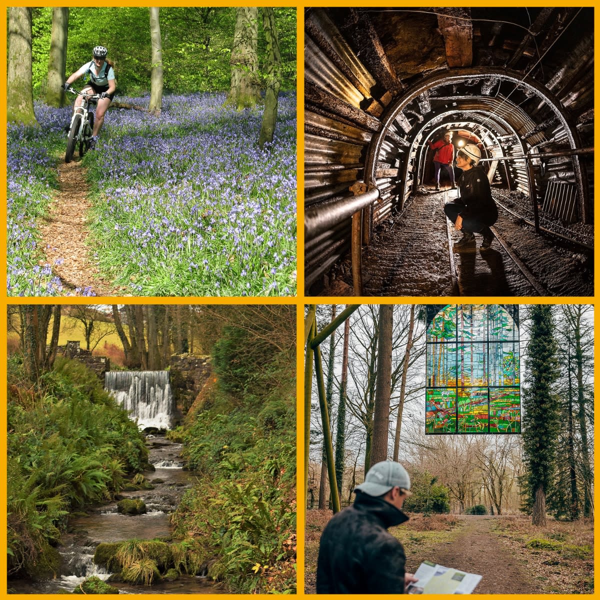 Things to do in Forest of Dean and Wye Valley
