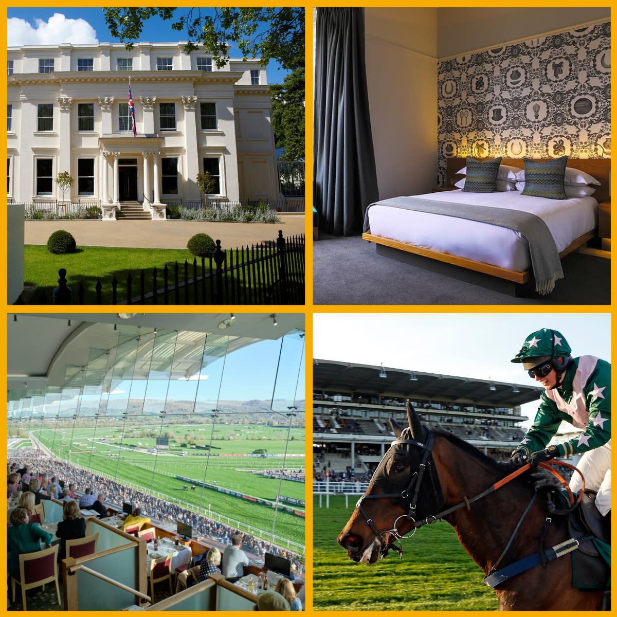 Images showing giveaway prizes - Overnight stay in Cheltenham and hospitality package at Cheltenham Racecourse