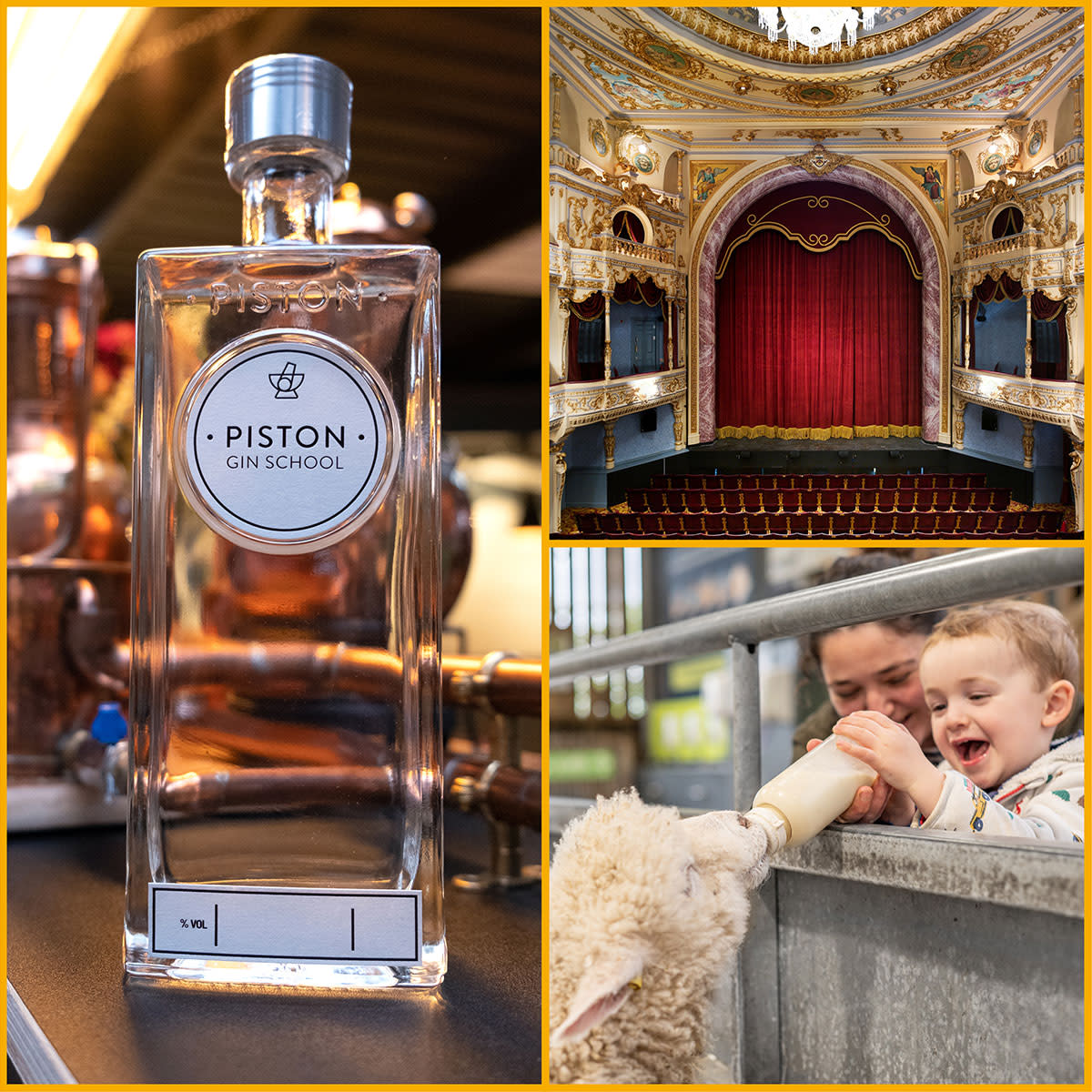 Image shows a Piston Gin bottle, the stage at Everyman Theatre, a mother and child petting a sheep at Cotswold Farm Park.
