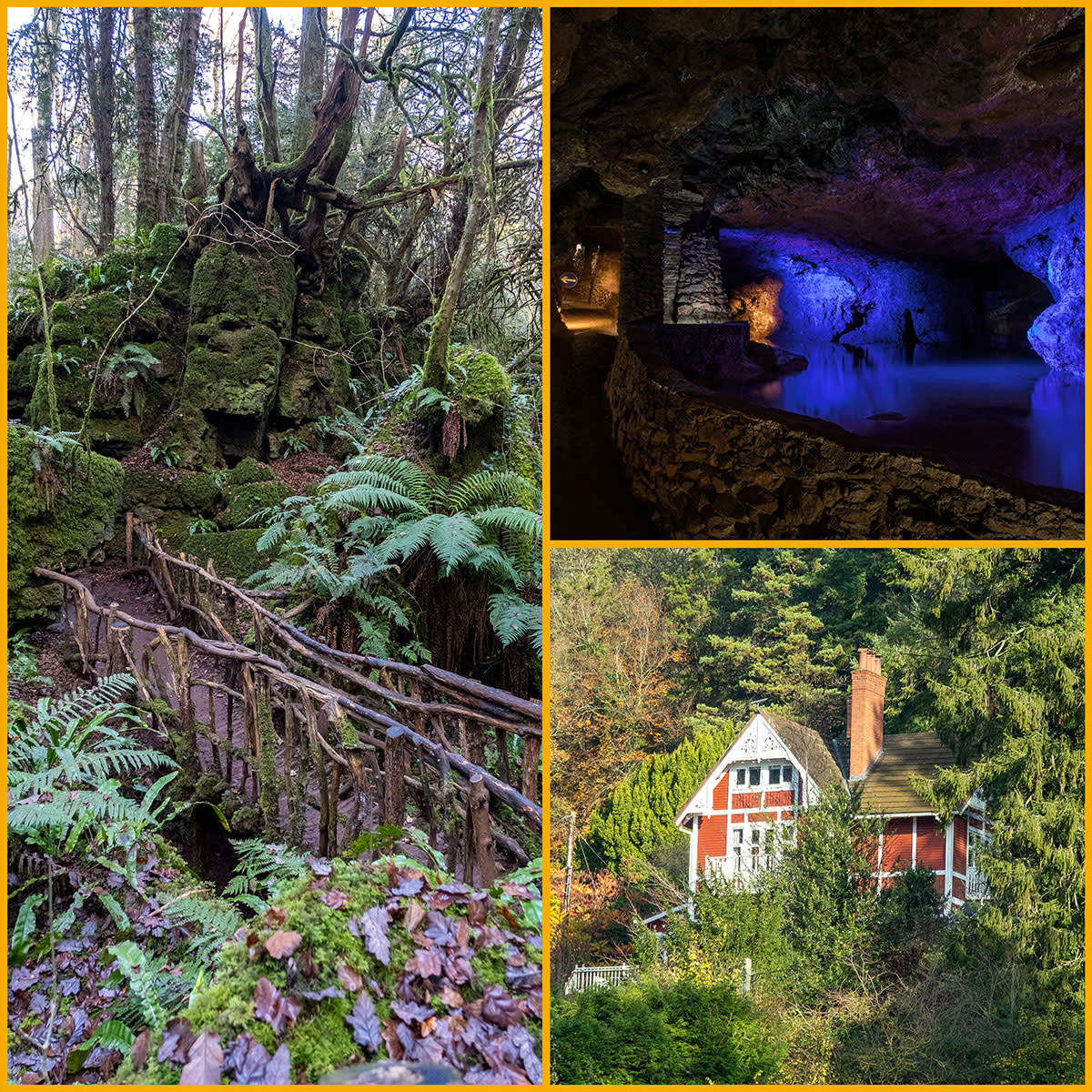 Collage of images feature Forest of Dean TV and film locations easily accessible from Cheltenham - Puzzlewood, Clearwell Caves, Symonds Yat