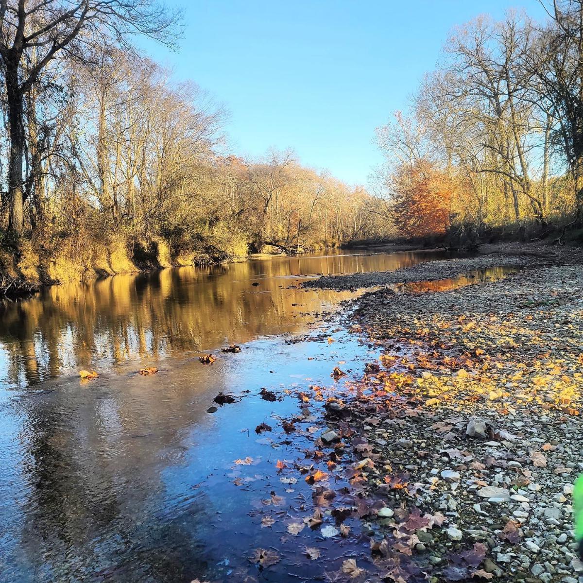 scenic creek during winter