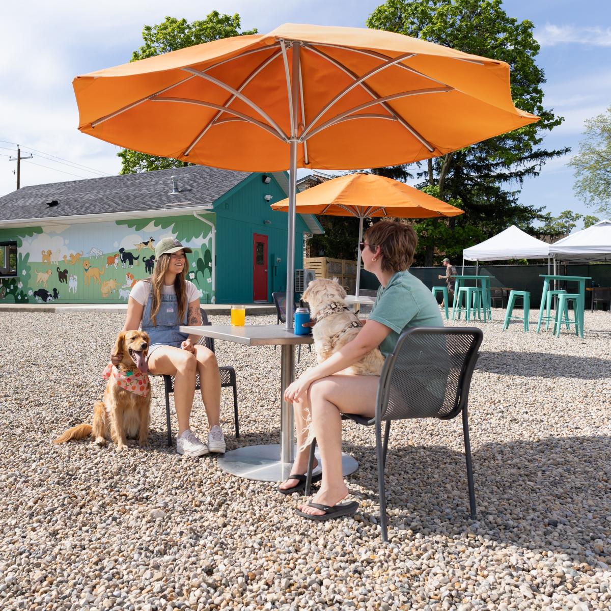 Two women and their dogs at Bumble's Backyard