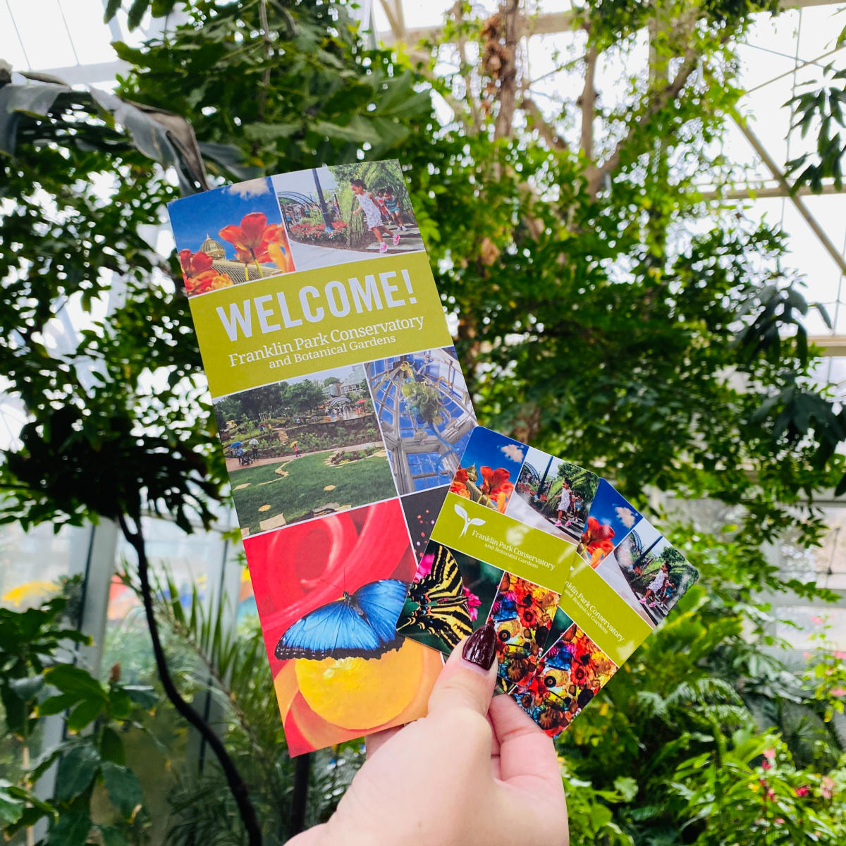 Brochure and membership cards for the Franklin Park Conservatory and Botanical Gardens annual membership