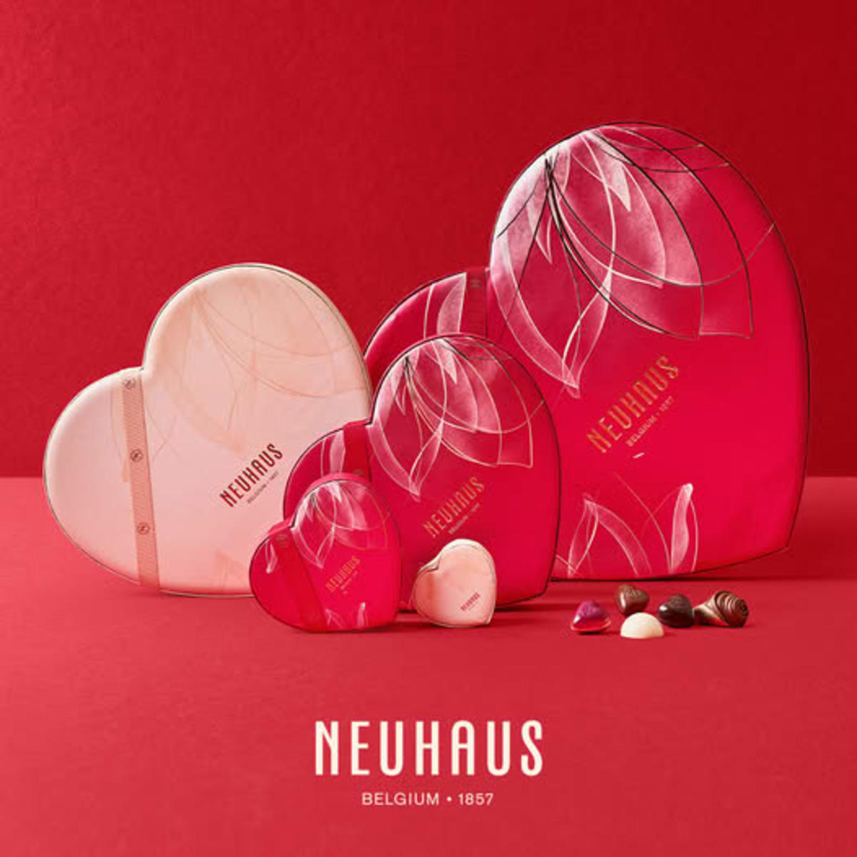 Exquisite Chocolates