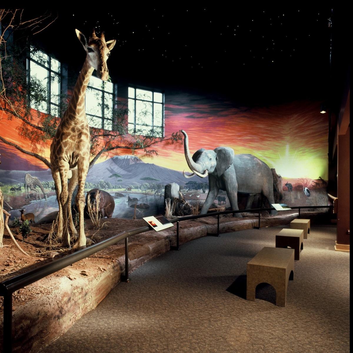 Oakes Museum