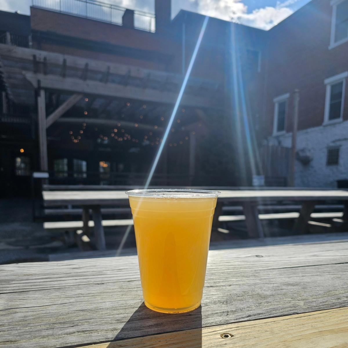 molly pitcher beer garden