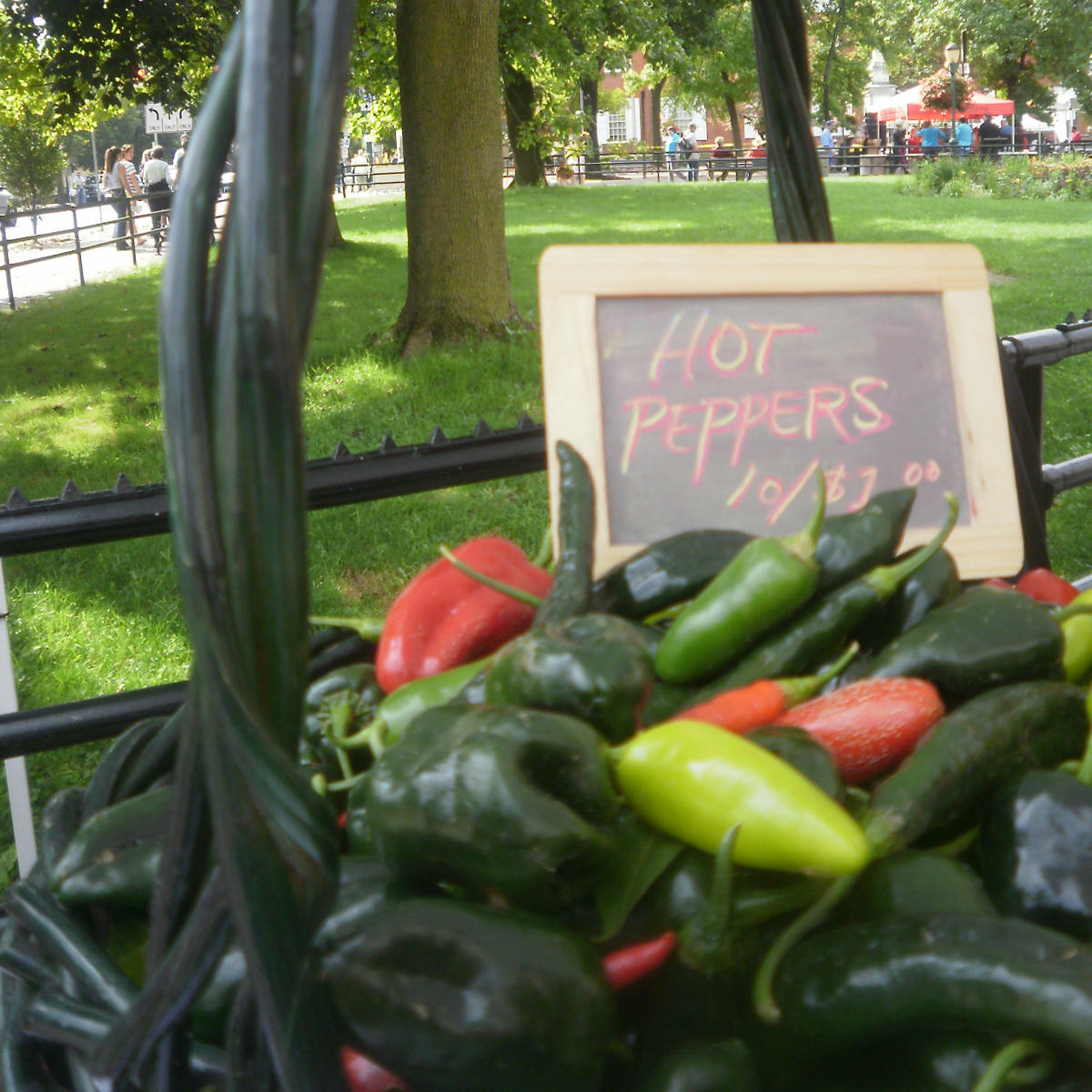 Farmers on the Square