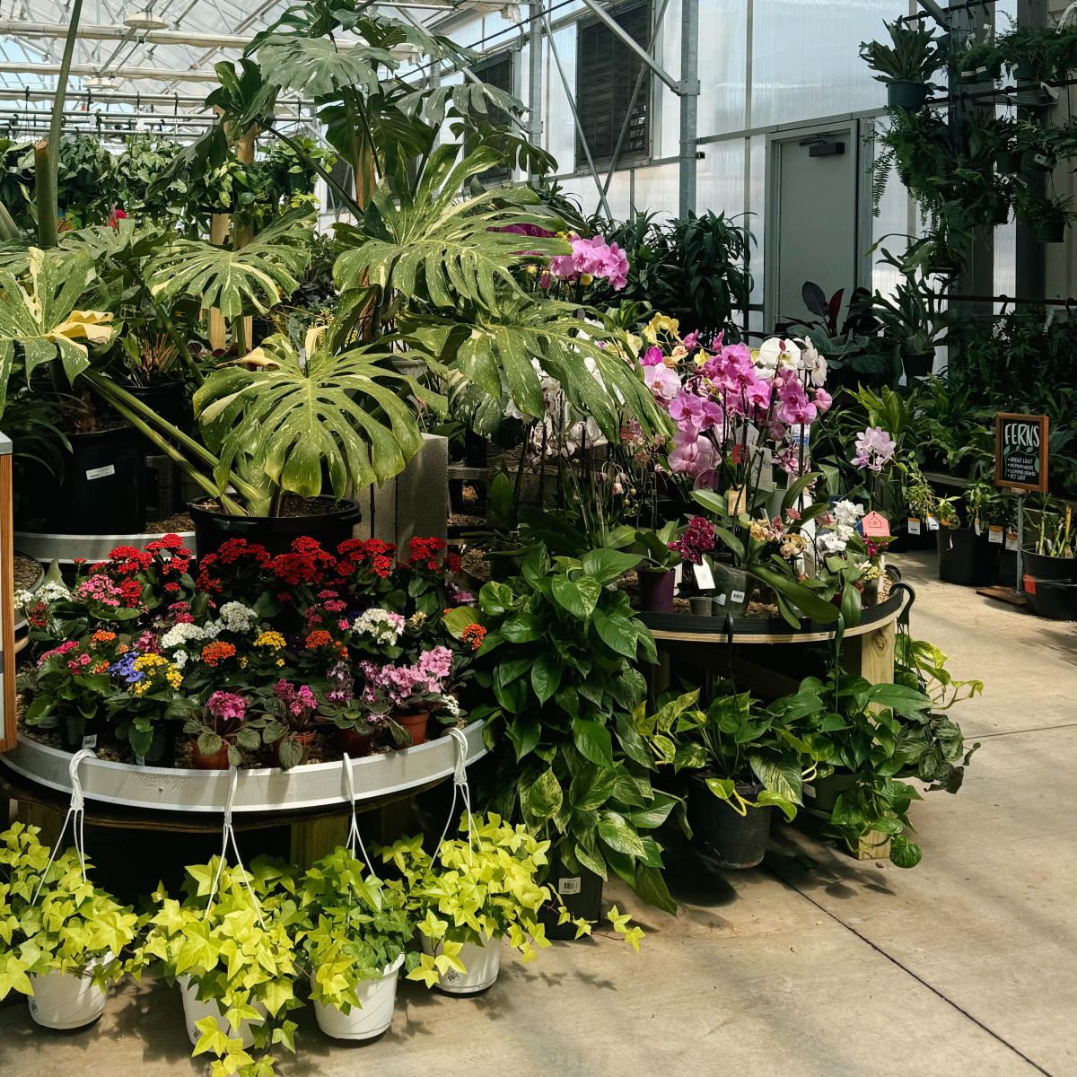 Green Acres Nursery & Supply