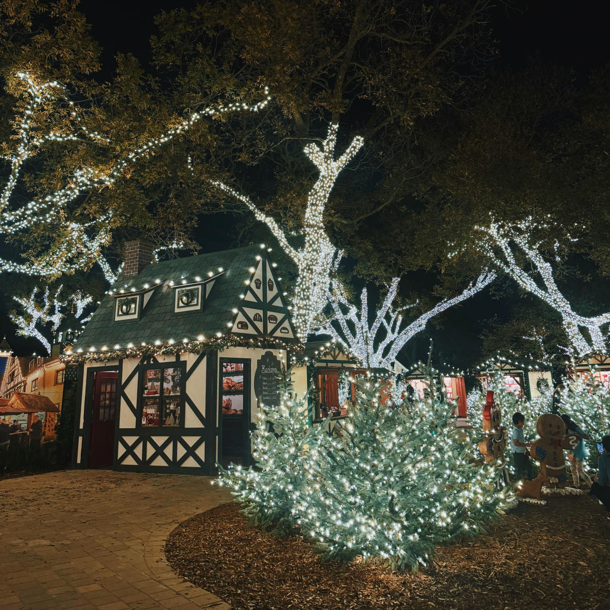 Holiday at the Arboretum