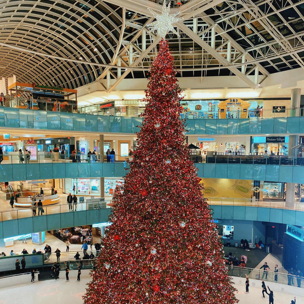 nation's largest indoor Christmas tree