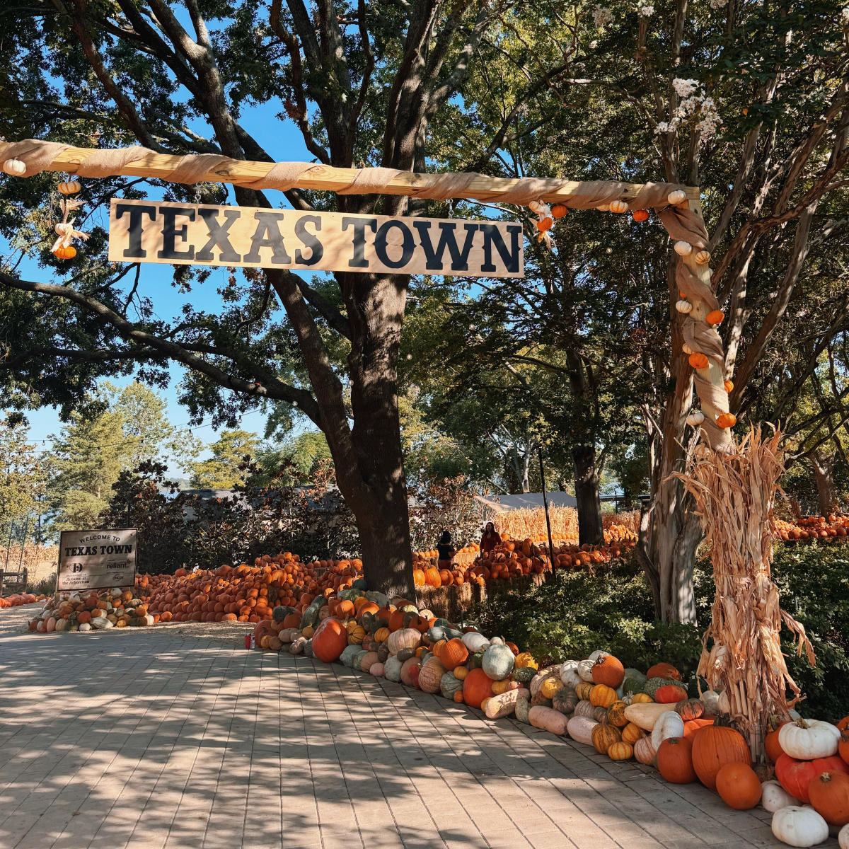 Autumn at the Dallas Arboretum Pumpkins