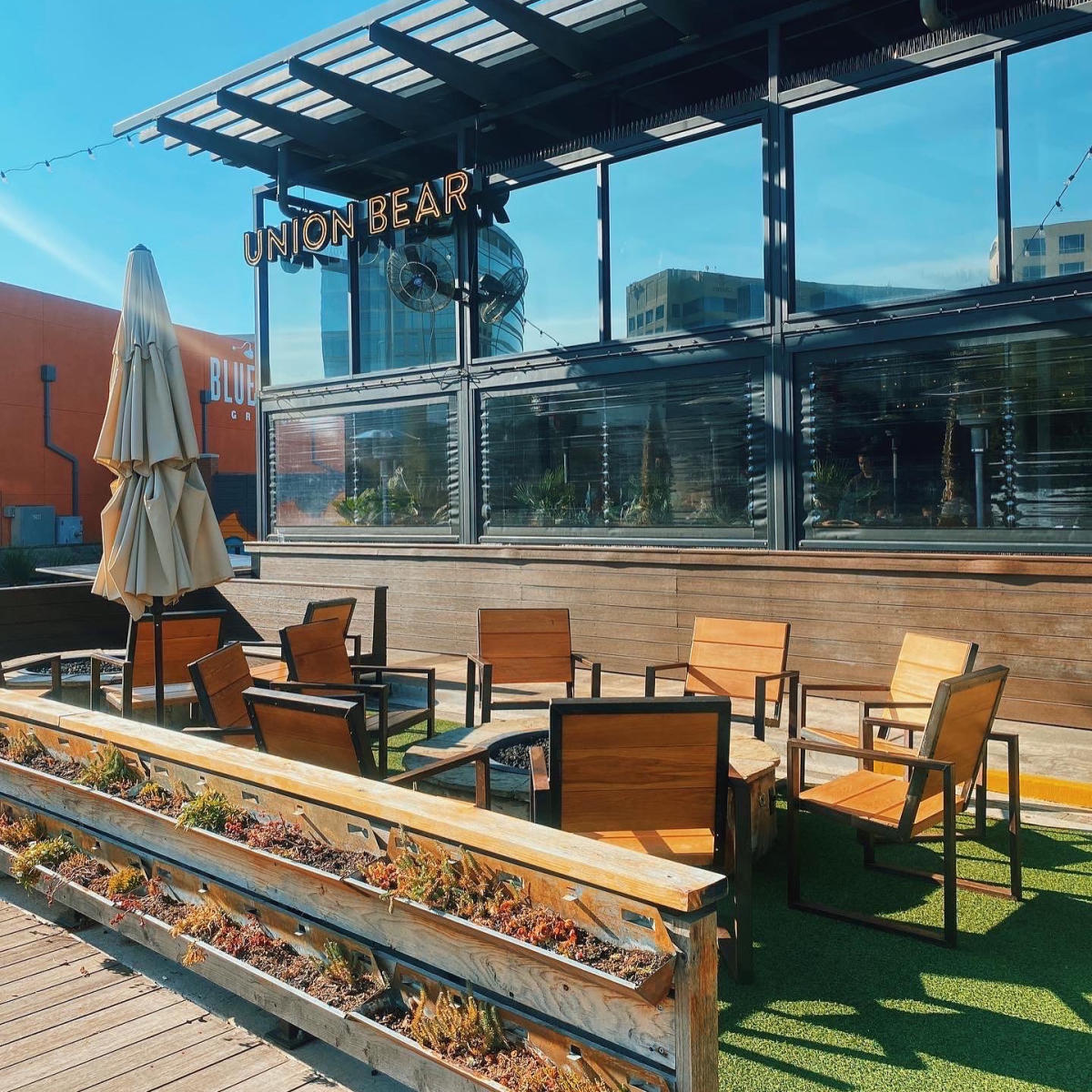 Union Bear Brewing Co