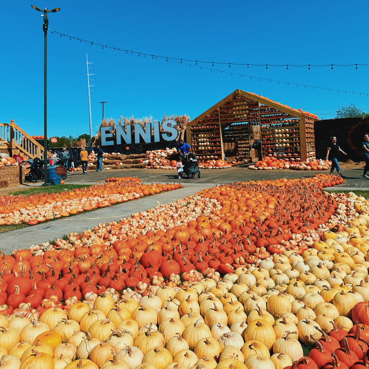 Ennis Autumn Daze