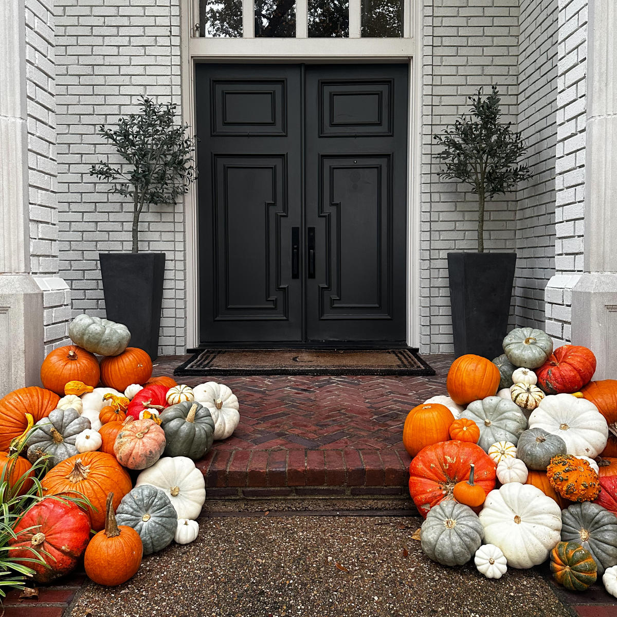 Pumpkin Perfection