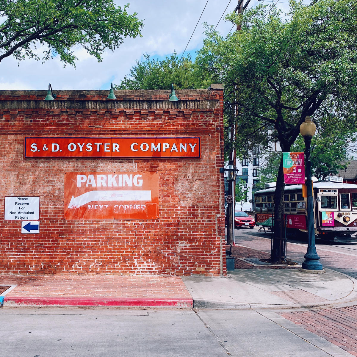 S&D Oyster