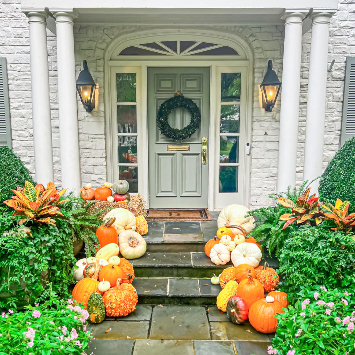 Pumpkin Perfection