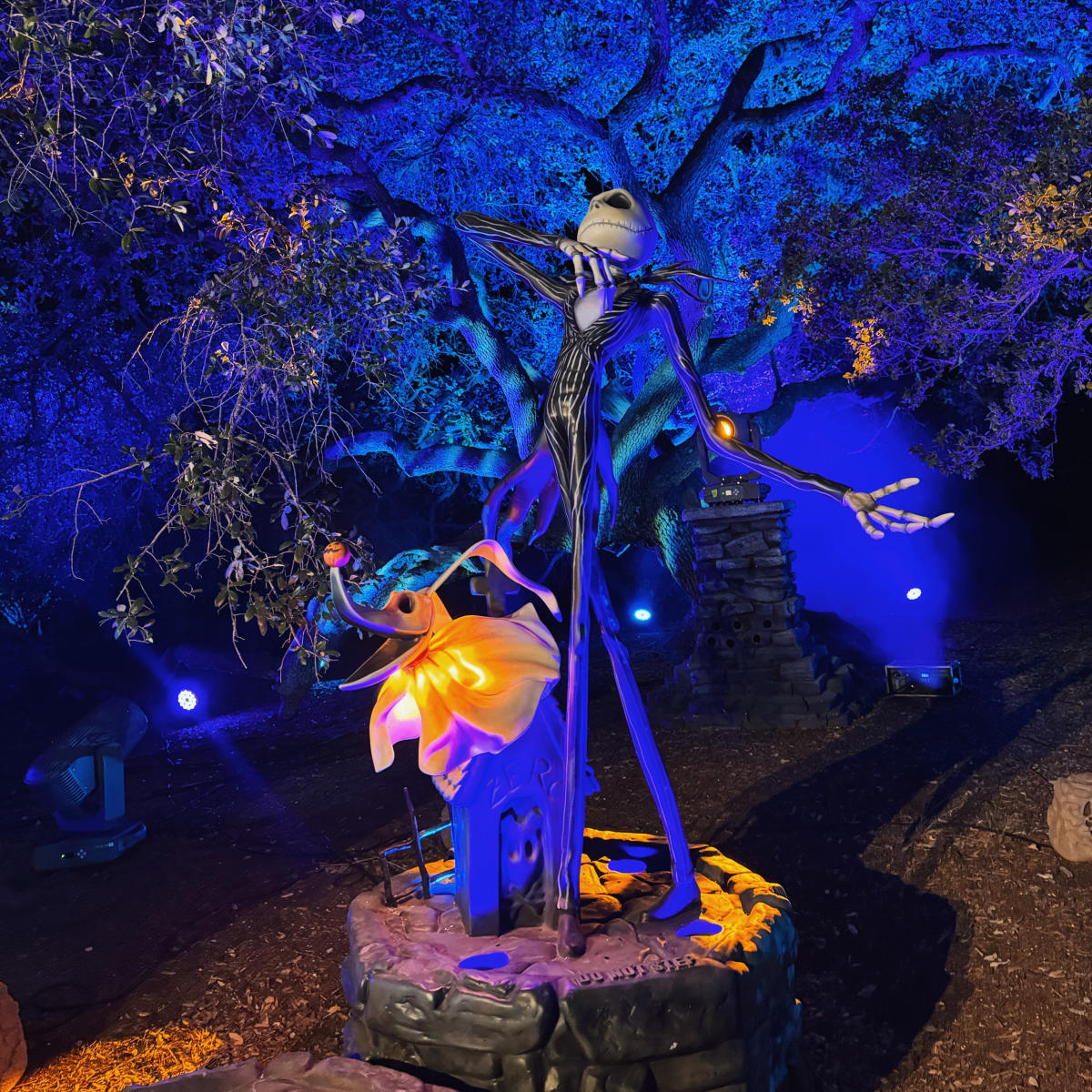 Nightmare Before Christmas LighT Trail Austin