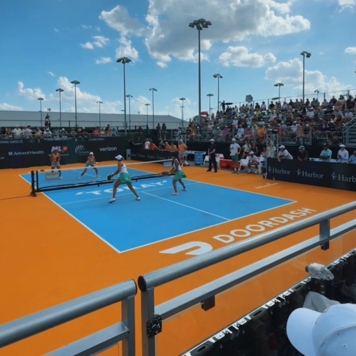 Major League Pickleball (ranchers)