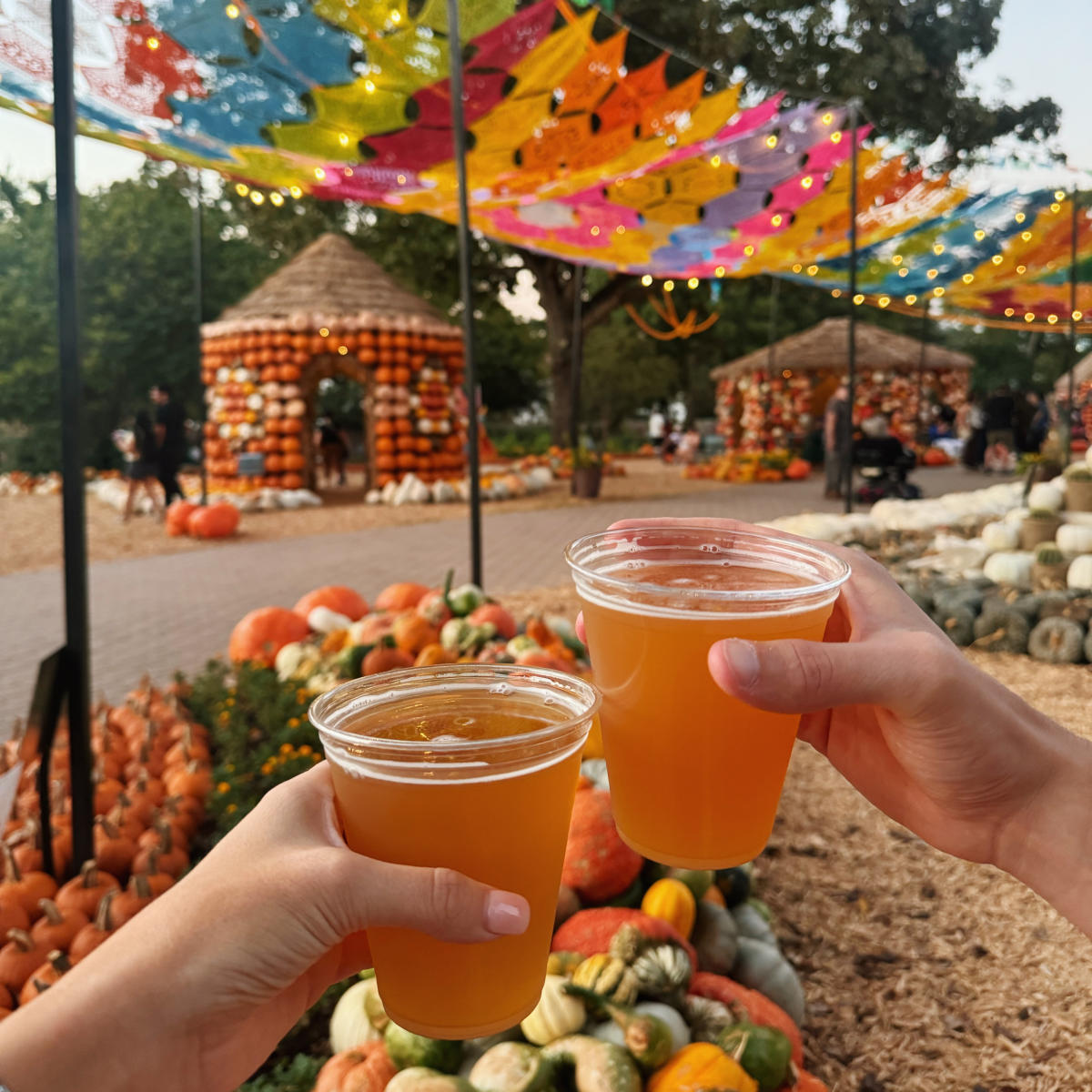 Autumn at the Arboretum Mundo Mexico