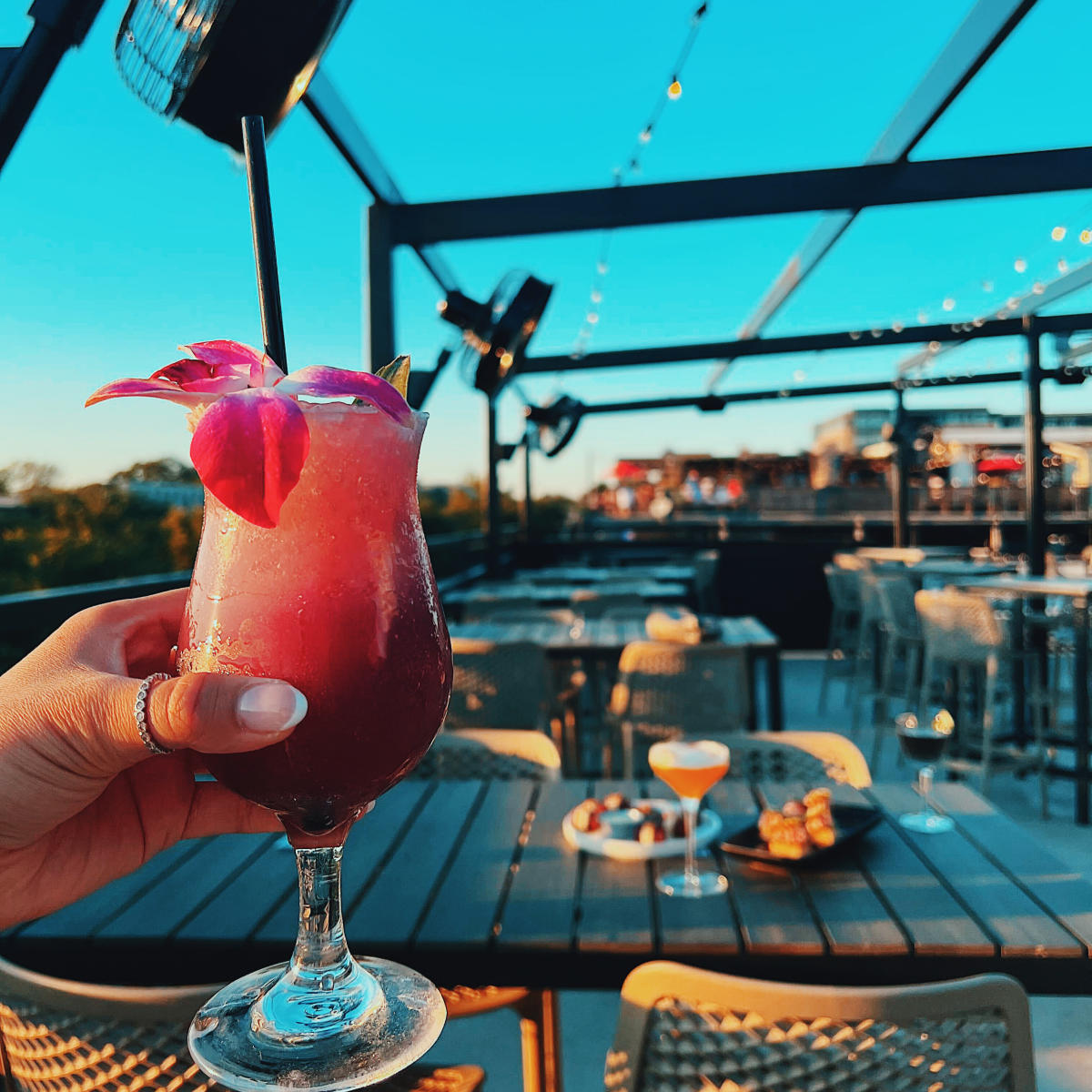 hide bar rooftop