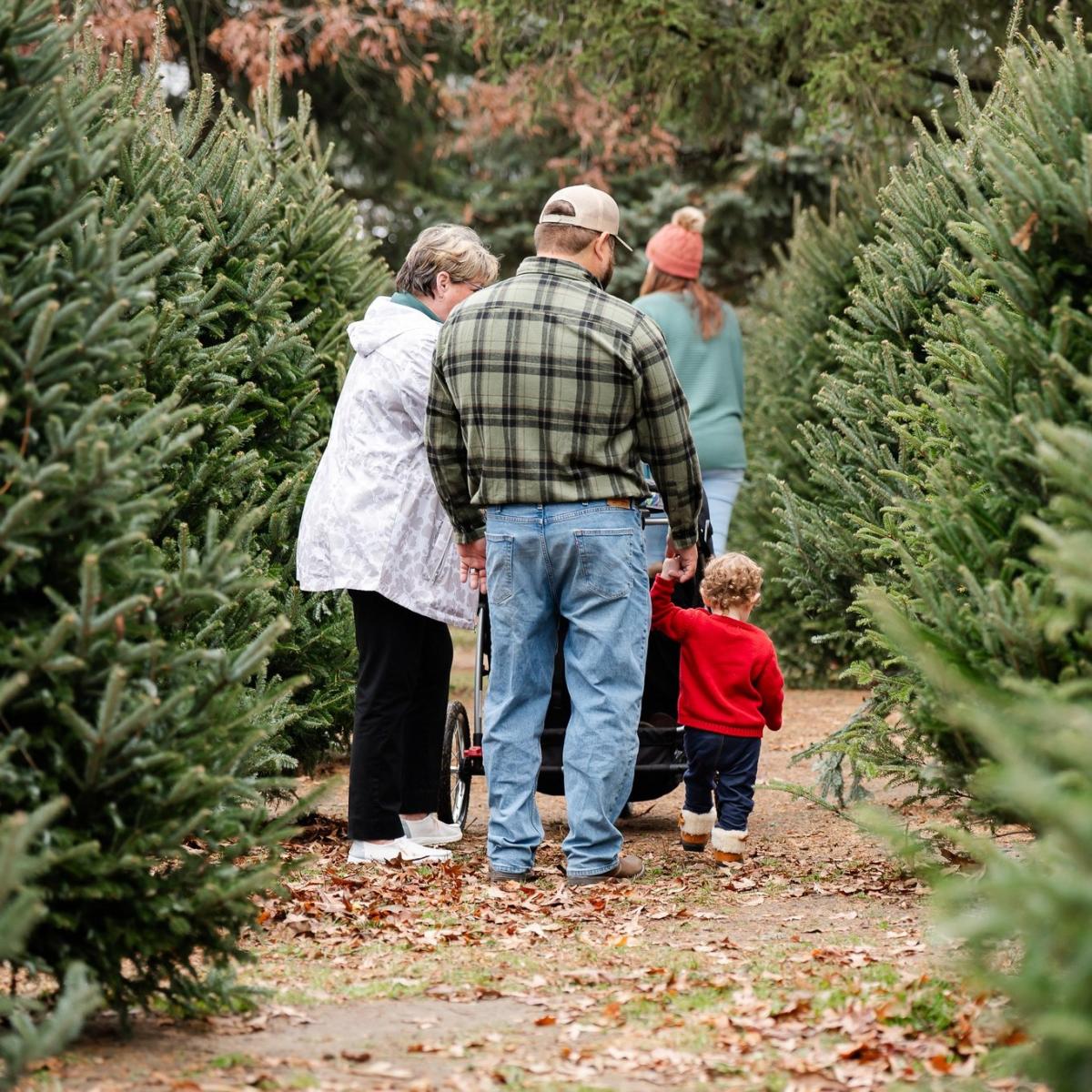 Fifer Orchards