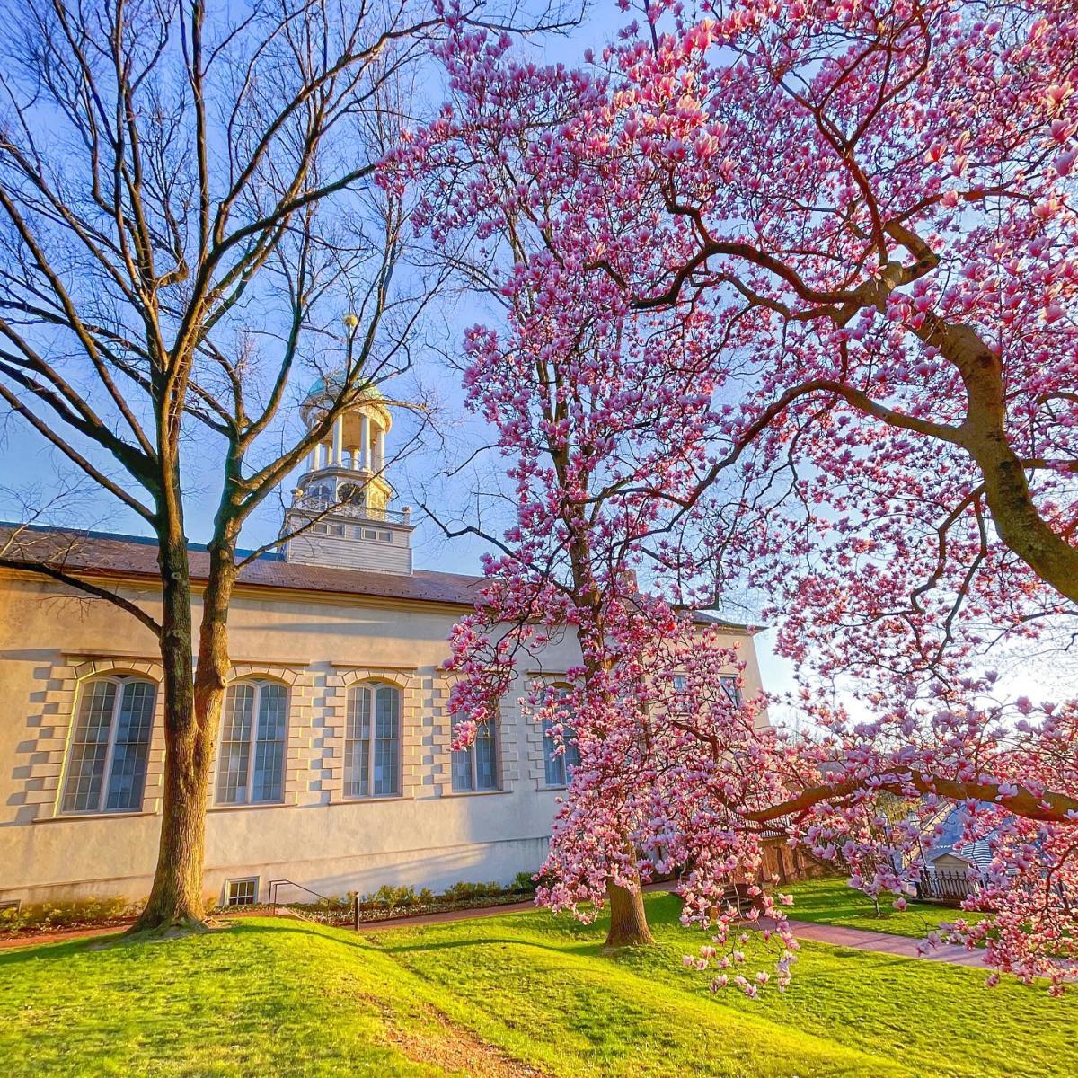 Moravian Church in Spring