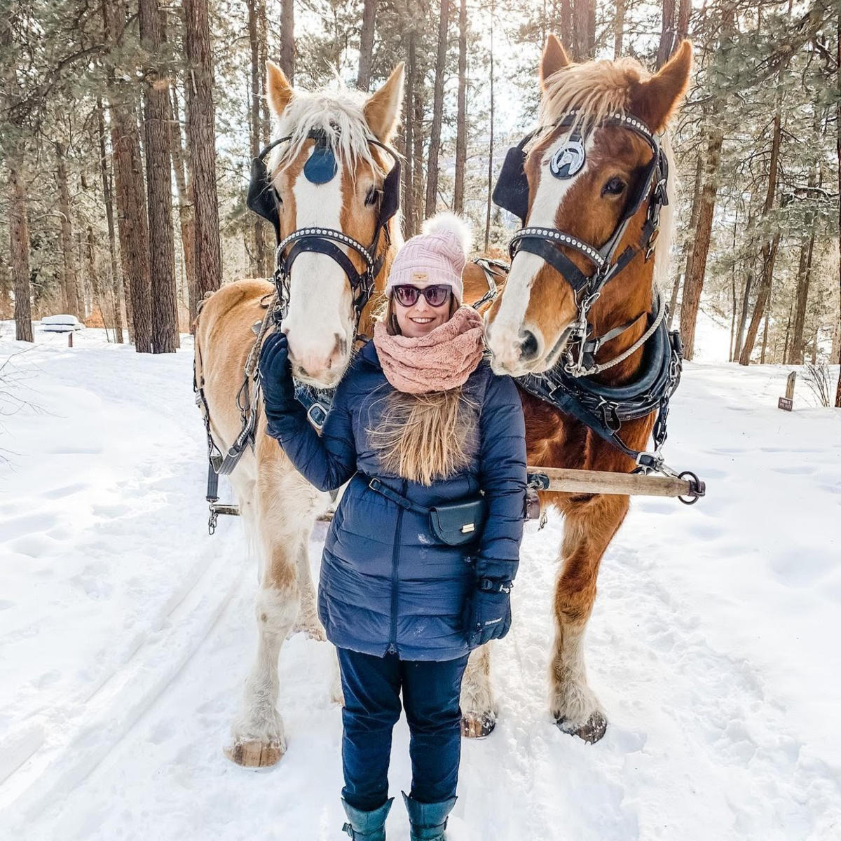 Sleigh Rides in Durango, CO