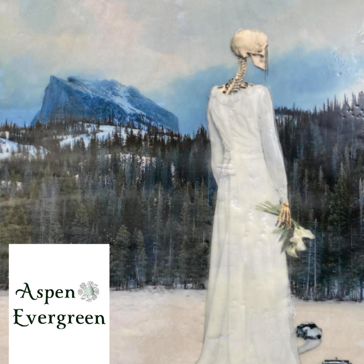 aspen and evergreen
