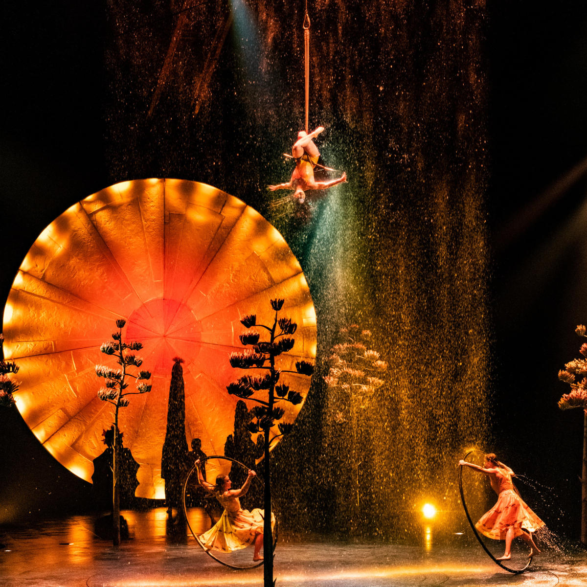 Cirque du Soleil LUZIA - Press Photos
