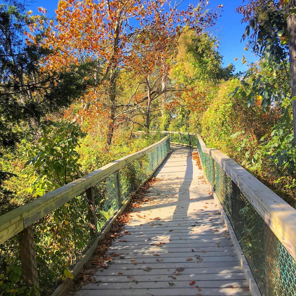 Mason Neck State Park