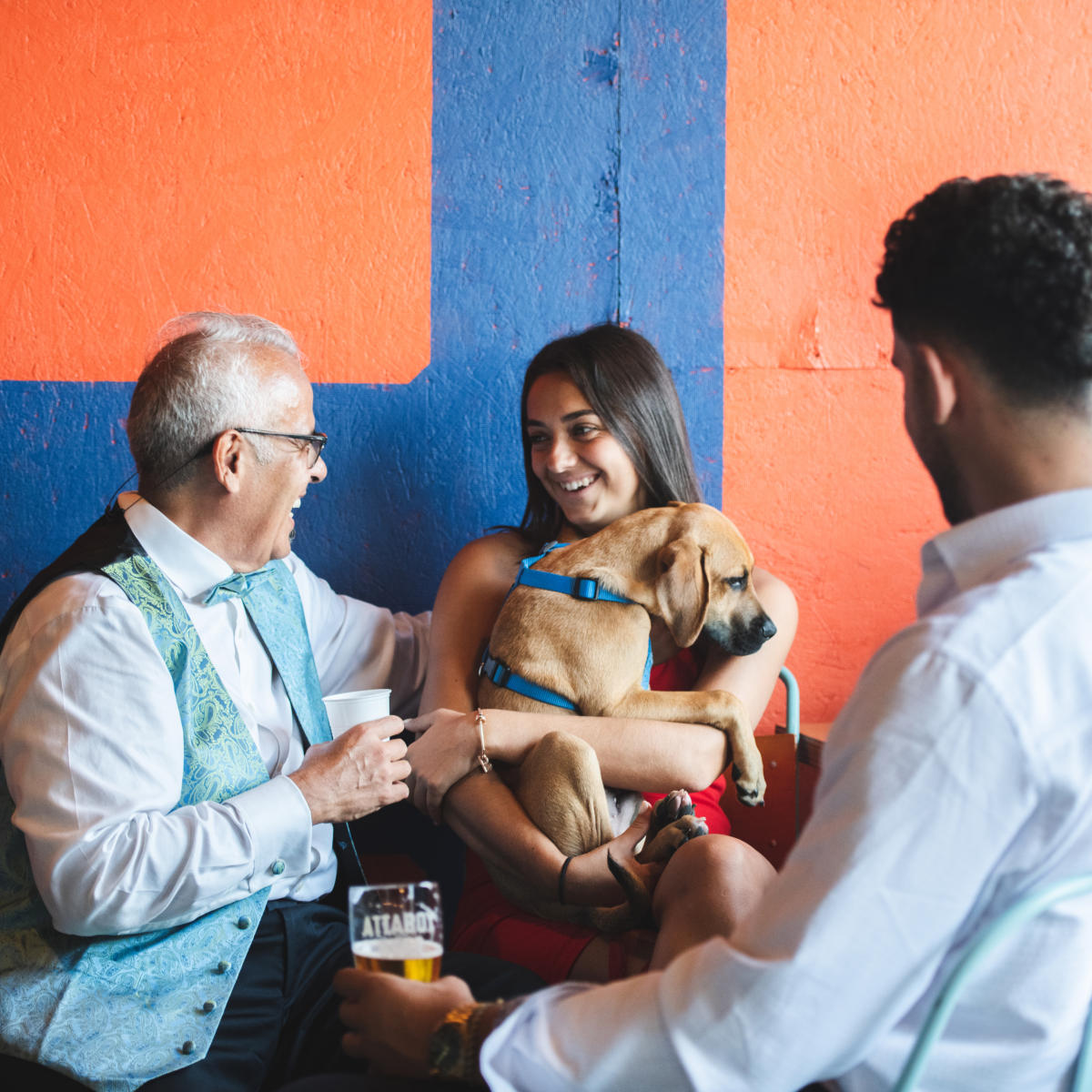 Dog at Attaboy