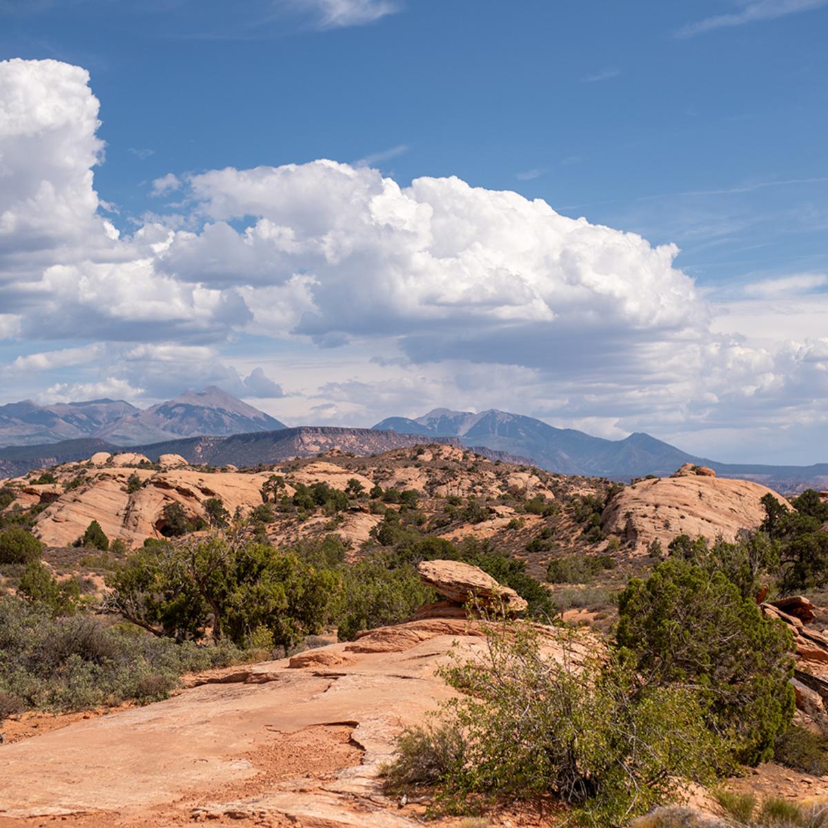 Sand Flats landscape