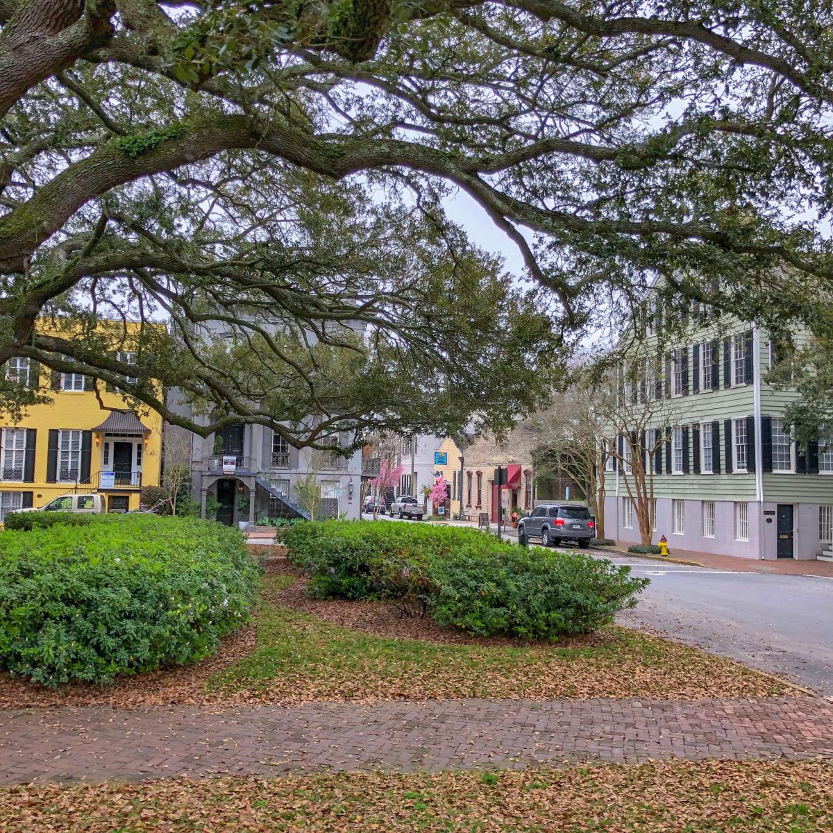 Top 5 Reasons You Should Visit Savannah