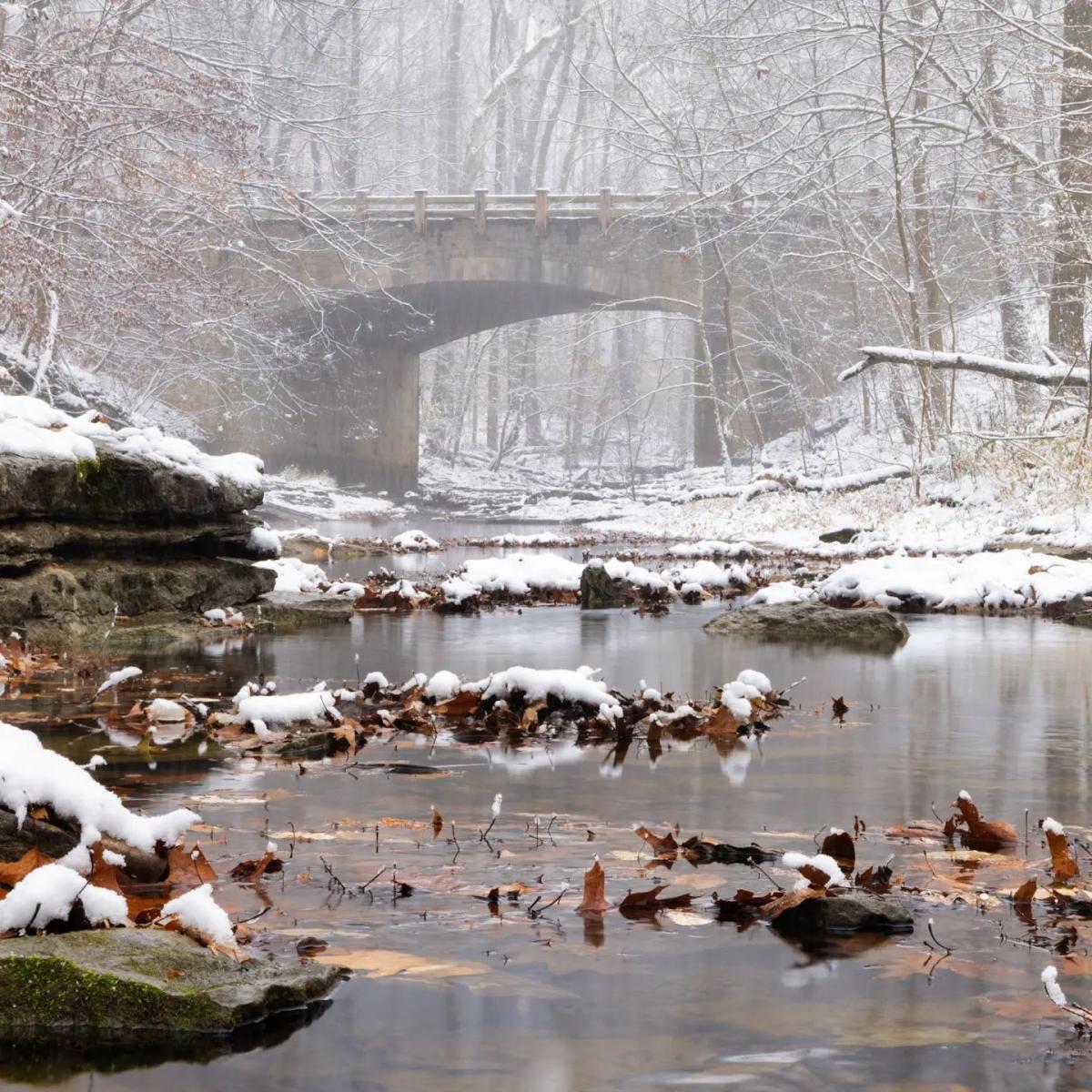 McCormick's Creek State Park